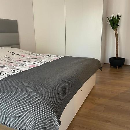 The Botanic Corner Apartment 弗罗茨瓦夫 外观 照片
