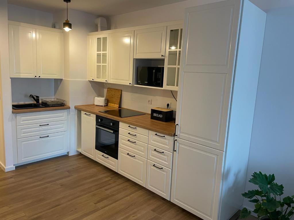 The Botanic Corner Apartment 弗罗茨瓦夫 外观 照片